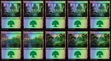 MTG 10x Foil Forest Basic Land Bundle (Random Art) [Aetherdrift]