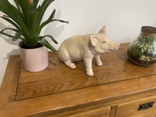 Butchers Ceramic Display Pig