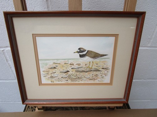 Original 1985 british wildlife - original,