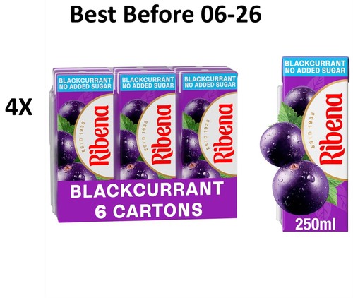 24x250ml ribena blackcurrant - 24x250ml,