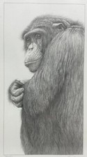 Gary Hodges "Cimpanzee" Signed