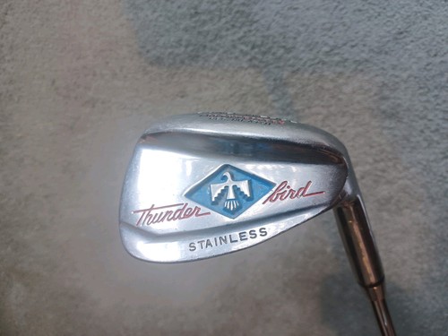 Northwestern thunder bird - northwestern,