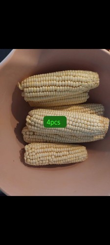 White maize corn 4pcs - maize,