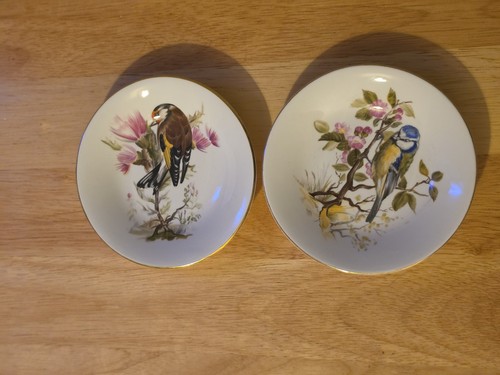 Vintage royal kendal - vintage, bone