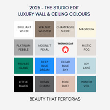 Anti Mould Paint Protects 5