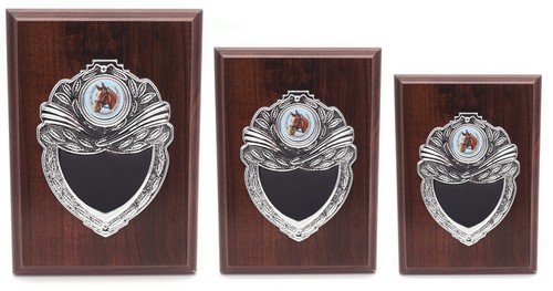 Personalised wooden shield - ,