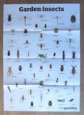 The Guardian wallchart wall