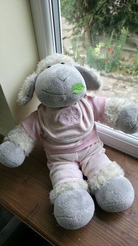 Bear factory sheep lamb - factory, plush