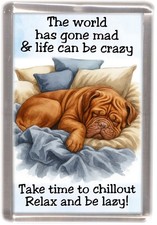 Dogue de Bordeaux Dog Fridge