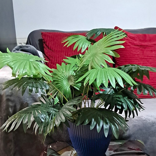 Artificial palm plant in - 2,