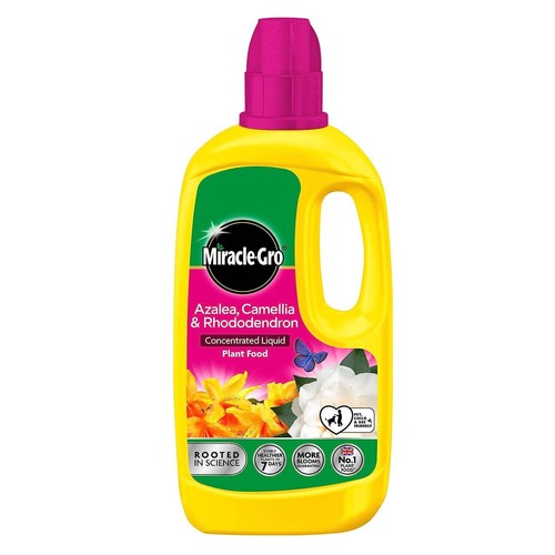 Miracle gro azalea camellia - miracle,
