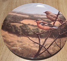 Royal Doulton Sunrise Serenade by Adrian C Rigby Plate  No 4213a