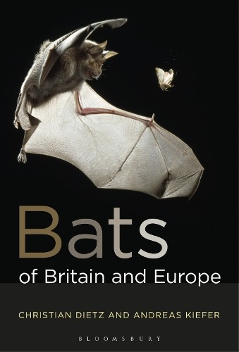 Bats britain and europe - of,
