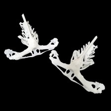 Replica resin hammerhead shark