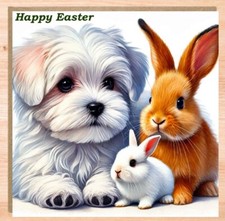 Personalised Maltese Easter
