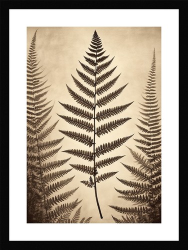 Sophisticated fern fronds - fern,