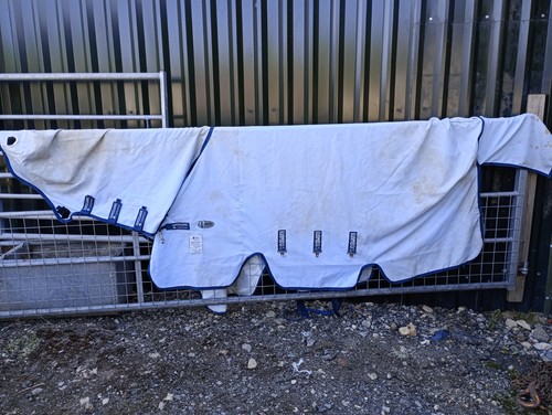 Rambo vamoose sweet itch - 7'3,