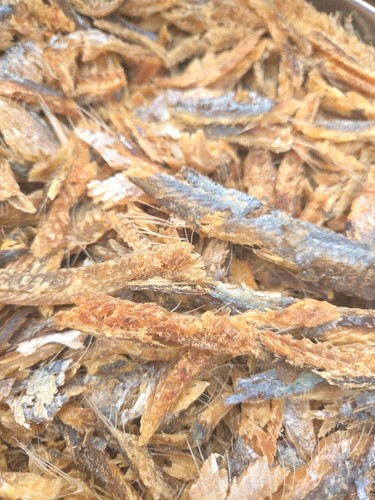 Premium bonga fish fillets - premium,