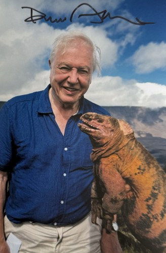 Genuine sir david - genuine, attenborough
