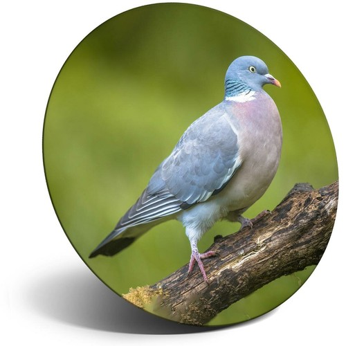 Awesome fridge magnet wood - awesome,