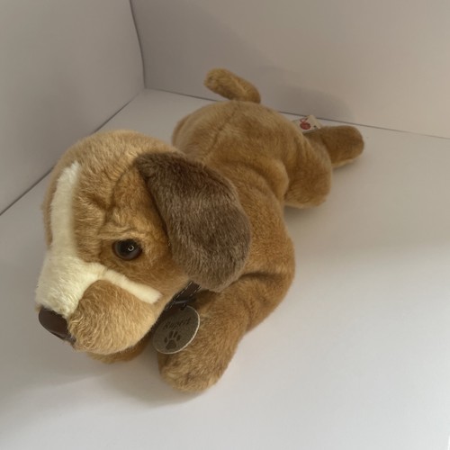Keel rupert brown labrador - rupert,