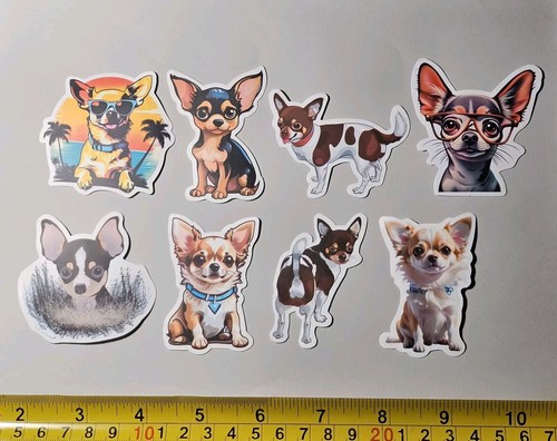 Chihuahua pups lot - chihuahua,