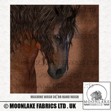 Animals-Brown Horse Equine -