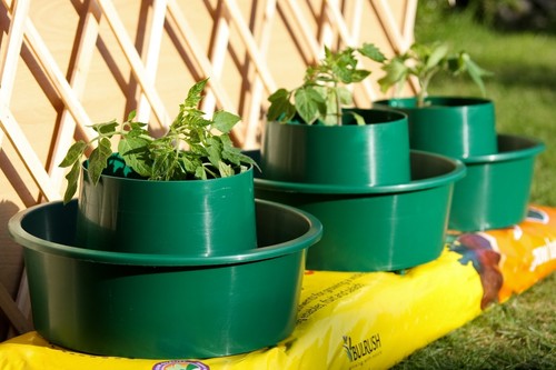 Growpots for tomatoes - growpots,