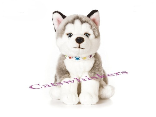 Sitting husky puppy - puppy, plush
