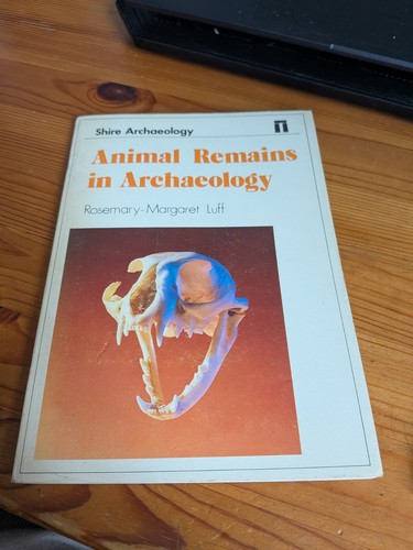 Animal remains archaeology - in,