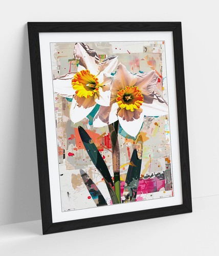 Pretty daffodil flowers - pretty,