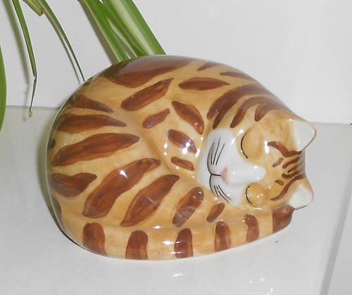 Quail cat ginger - cat, tabby
