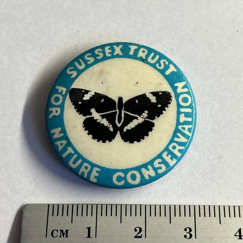 Small collectible pin - small, badge