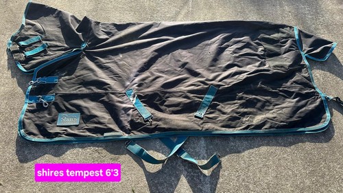 Shires tempest turnout combo - shires,