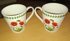 2x Portmeirion Botanic Garden