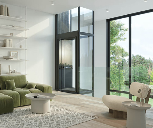 Aritco home lift domestic - home,