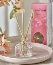 Next Apricot Blossom, Mango