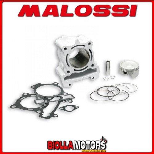 3114852 thermal group malossi - 3114852,