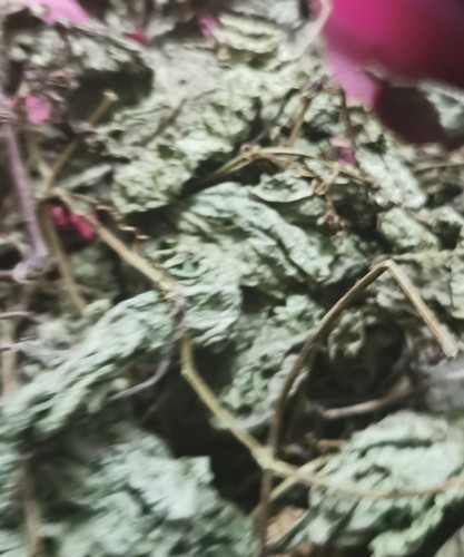 Dried leaves ewe tagiri - leaves,