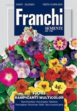 Franchi - FDBF_ 321-2 - Mixed