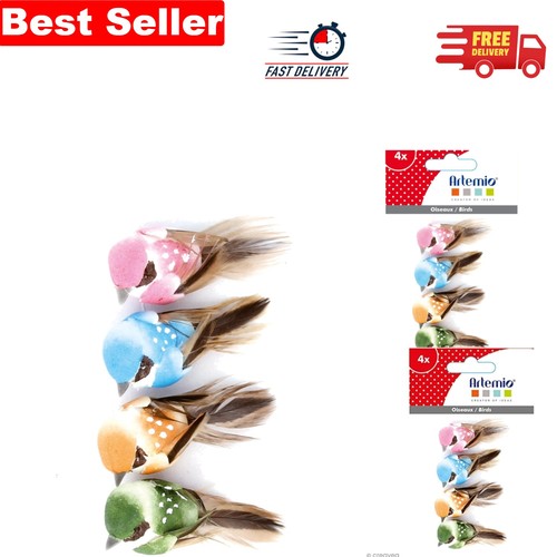 Delightful feather birds - feather,