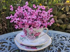 Queen anne fine bone china - anne,