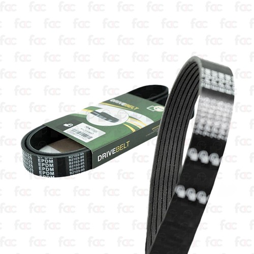Alternator drive belt fan - drive,