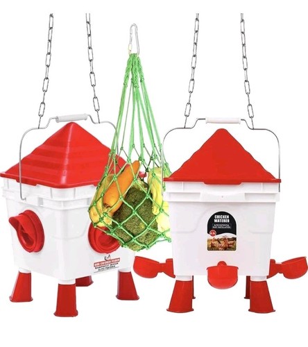 Chicken feeder and drinker - feeder,