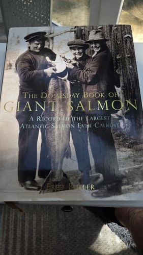 The domesday book giant - the,