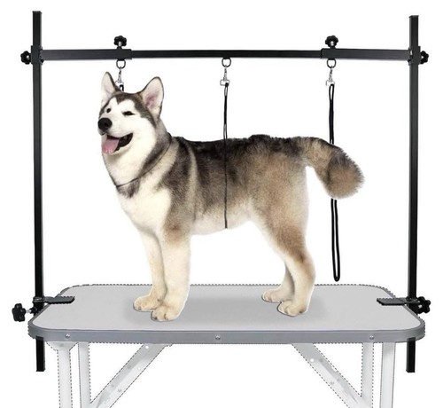 Leibou shape dog grooming - leibou,