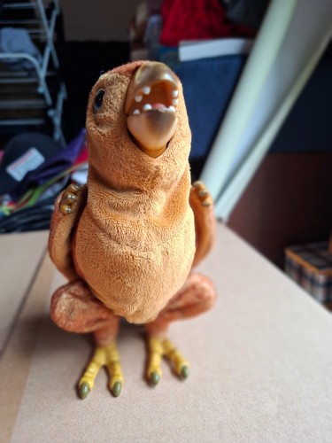 Hatchling pterodactyl dinosaur - hatchling,
