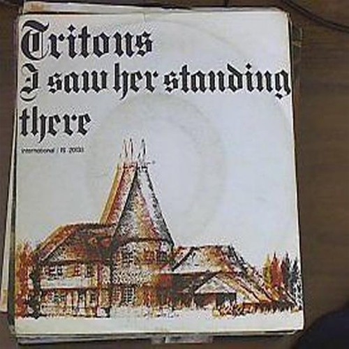 Tritons saw her standing - tritons,