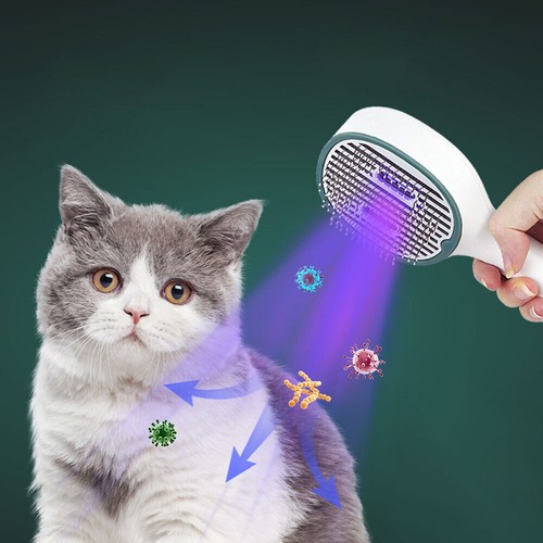 2024 pet grooming - pet, comb