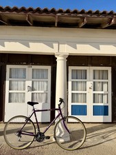 Men’s Raleigh Pioneer